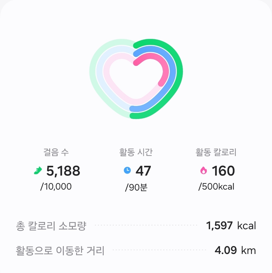 이번주 운동 아닌 걷기