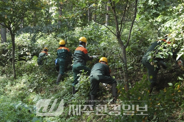 10월까지 산림· 도로변 덩굴류 집중 제거