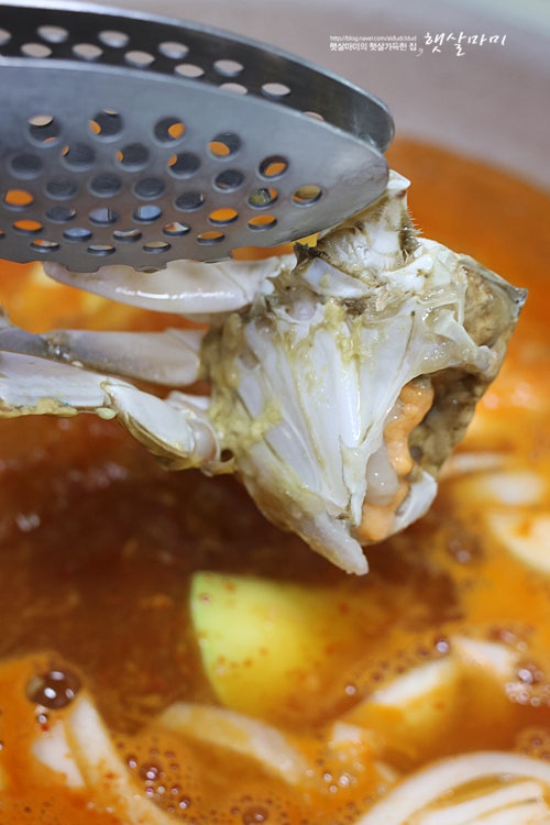 꽃게탕 만들기 꽃게 요리 만드는 법 꽃게찌개 양념 레시피