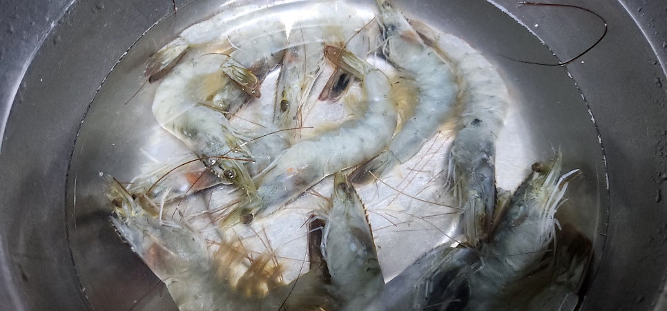 집에서 대하구이 새우 소금 구이 시간 손질법 9월제철해산물 저녁메뉴 추천