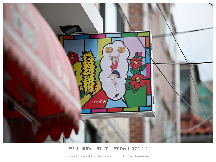 풀프레임 미러리스 카메라 추천 니콘 Z9 4K카메라 써보니