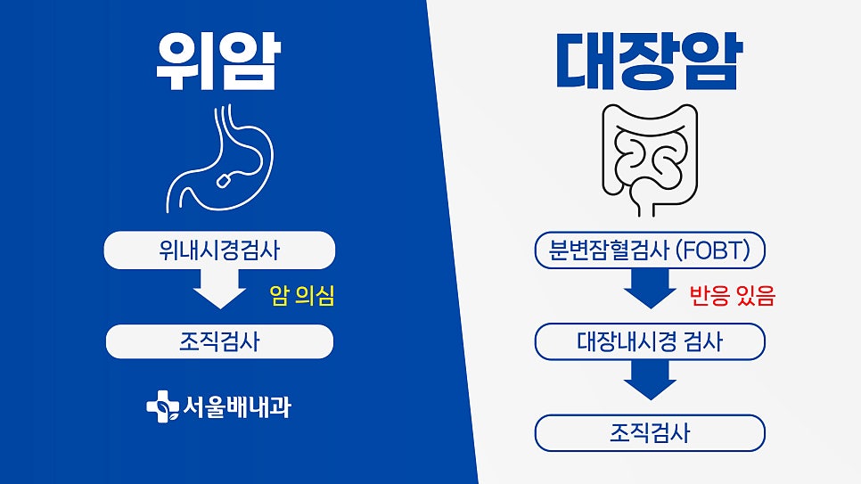 국가건강검진 대상자, 비용 ,병원, 강남,역삼, 서초 직장인 건강검진 2024년도 대상