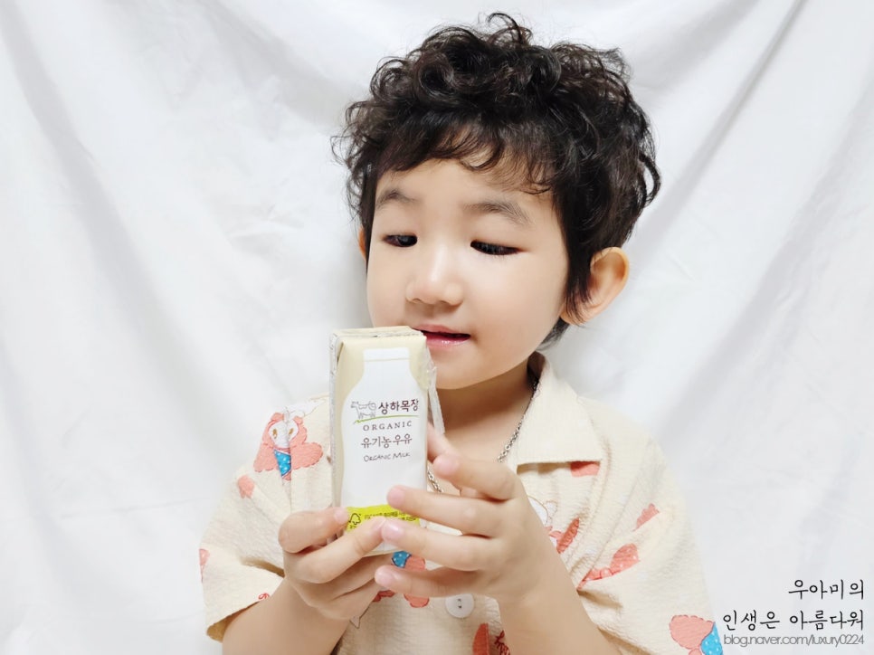 돌아기우유 추천, 돌아기간식으로 챙기는 상하목장 유기농 멸균 아기우유!