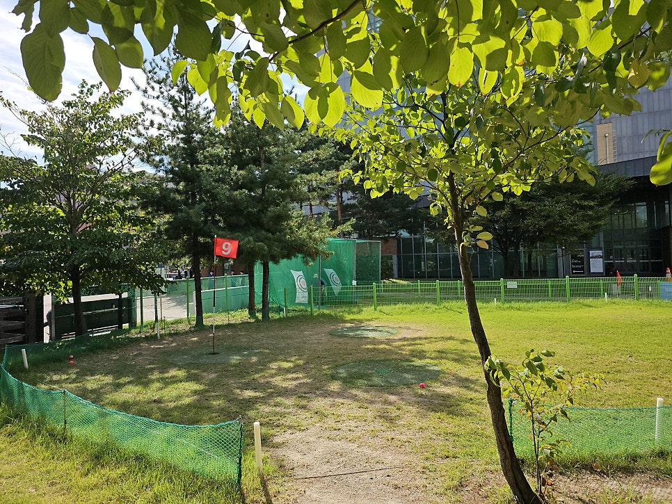 파크골프채 사용 후기 용인 아르피아 파크골프장