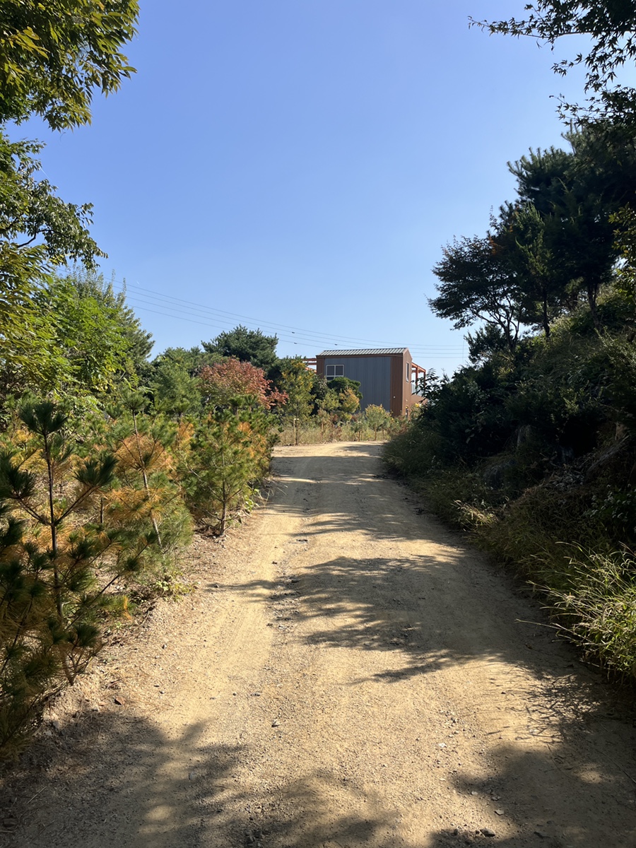 서울둘레길 7코스 (일자산 코스) 걷기