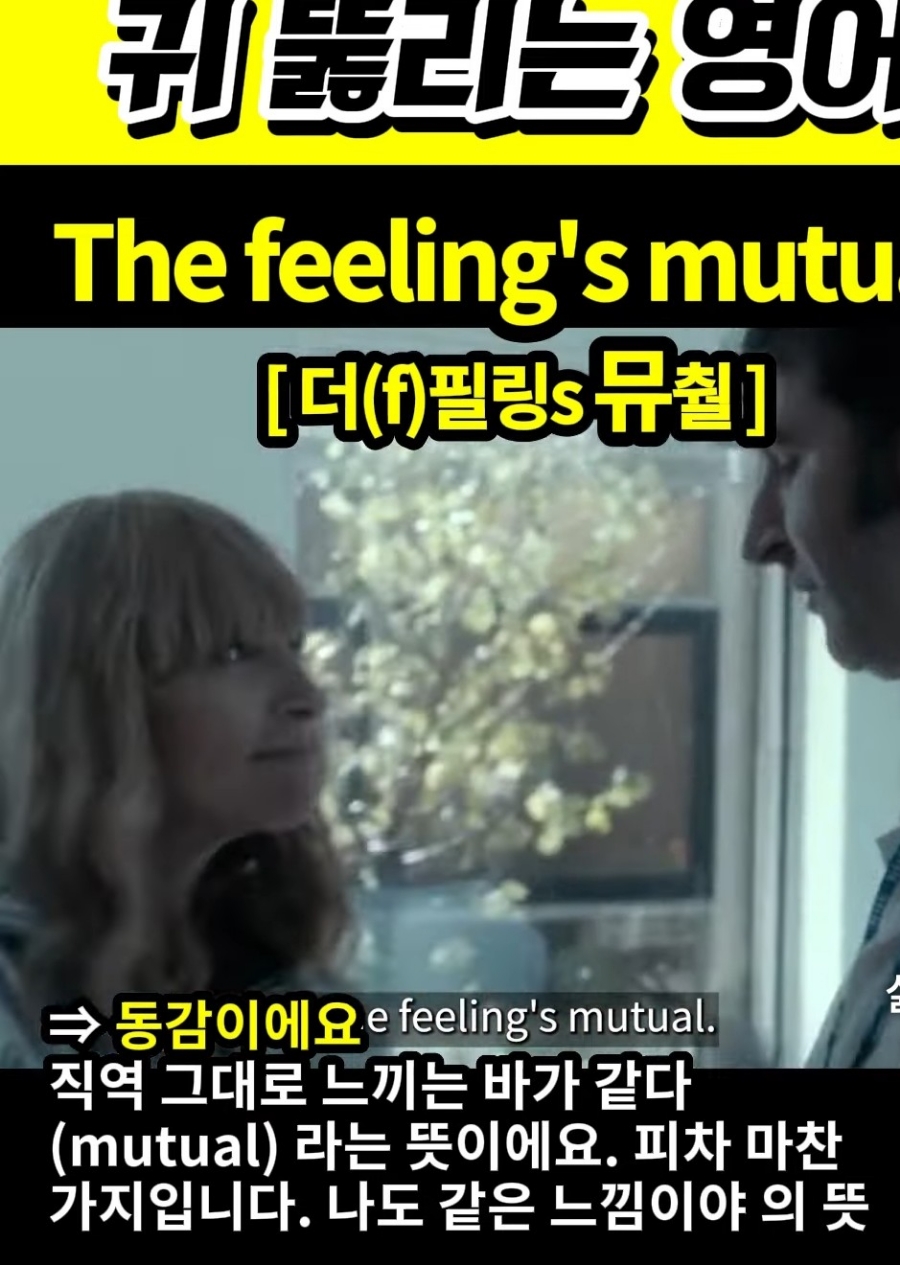 과천 할매와 귀 뚫리는 영어, 동감이야 The feeling's mutual 더(f) 필링s 뮤첼