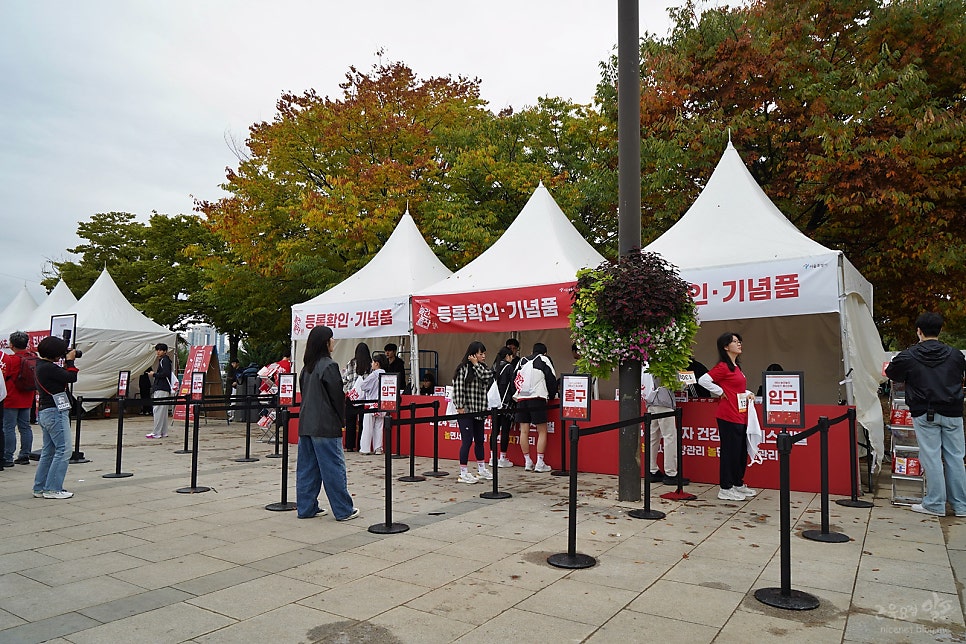 정관장 놀건놀자 건강 걷기페스티벌 참여 후기