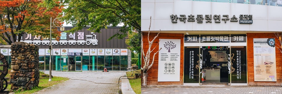 전남 전라도 가을 축제 곡성 섬진강기차마을 장미공원 심청 어린이대축제