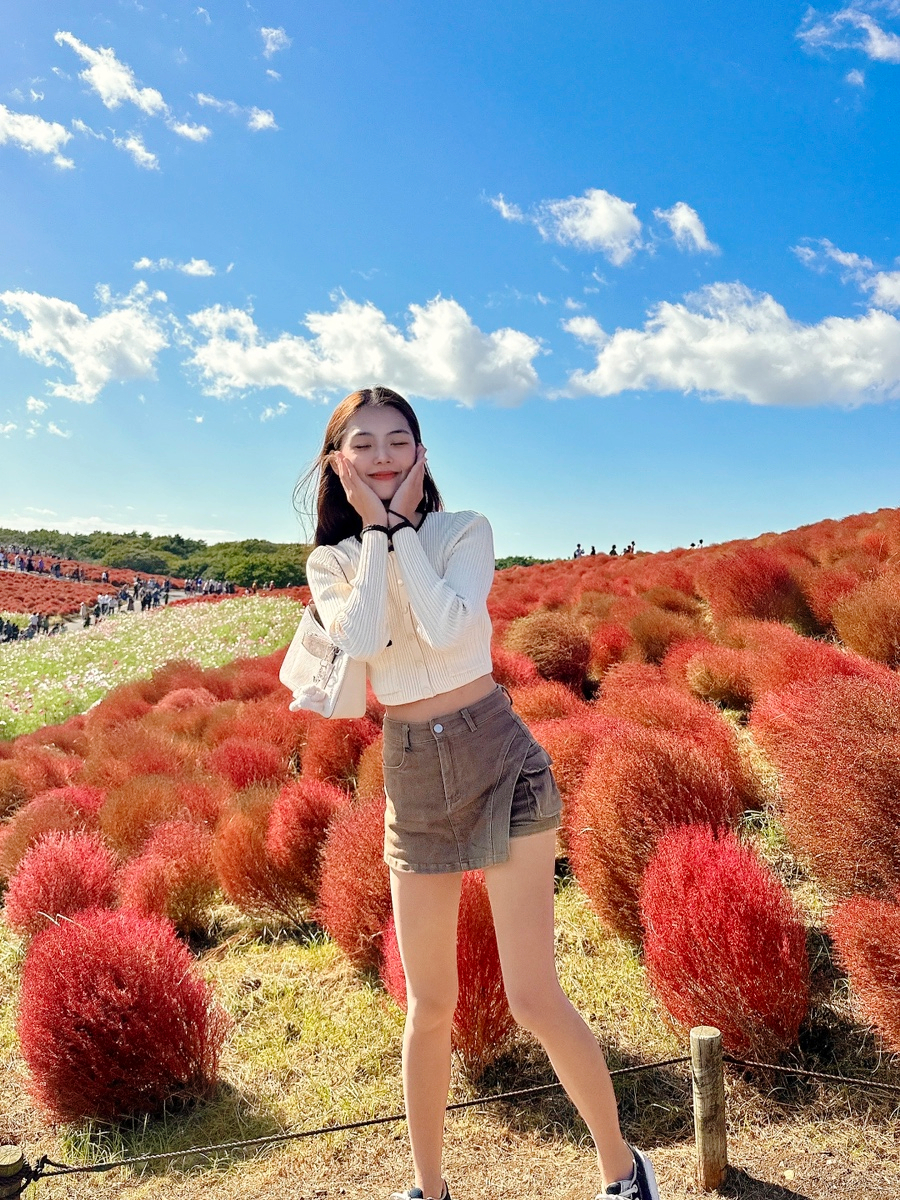 일본 도쿄 여행 코스, 히타치 해변공원 10월 11월 도쿄 갈만한곳 추천!