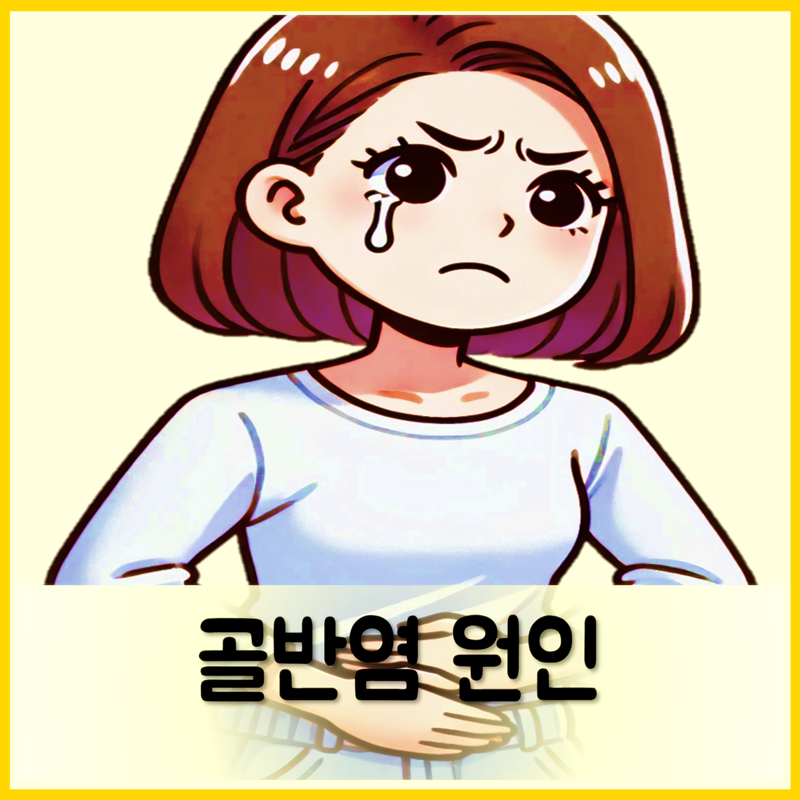 골반염 증상 원인 치료 예방법