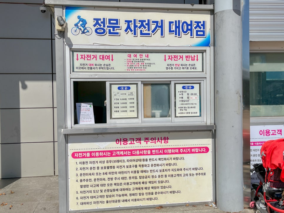울산가볼만한곳 울산대공원 가을 단풍 즐기기 메타세콰이어길