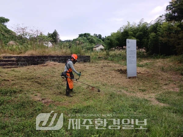 제주문화유산돌봄센터, 법화사지 보호구역 내 예초 작업 실시
