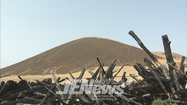 "산불위기 시대, 오름에 불을 놓는 만행 통과시킨 제주도의회 강력 규탄"
