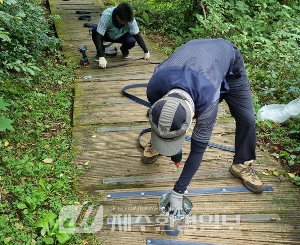 제주시, 절물자연휴양림 산책로·숲길 환경 개선