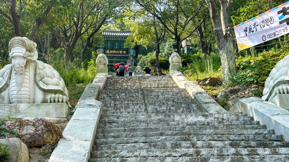 여수 돌산 가볼만한곳 향일암 입장료 주차장