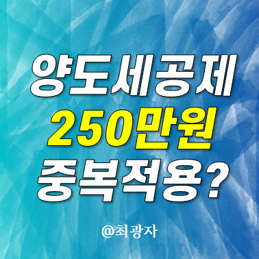 양도세 기본공제 250만원 미국주식 부동산 각자 적용되나? 개인매매사업자 케이스