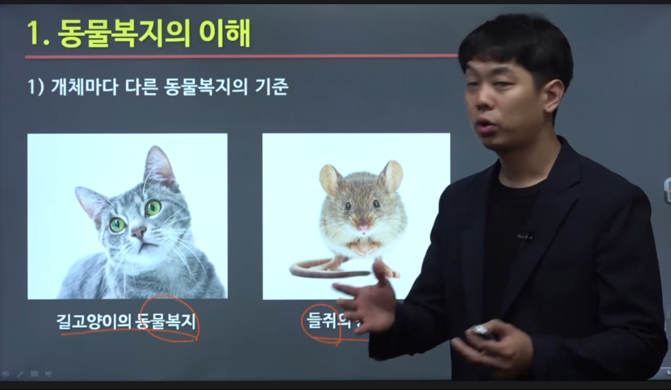 반려동물 자격증 취득으로 반려동물과 함께하는 새로운 미래 그리기