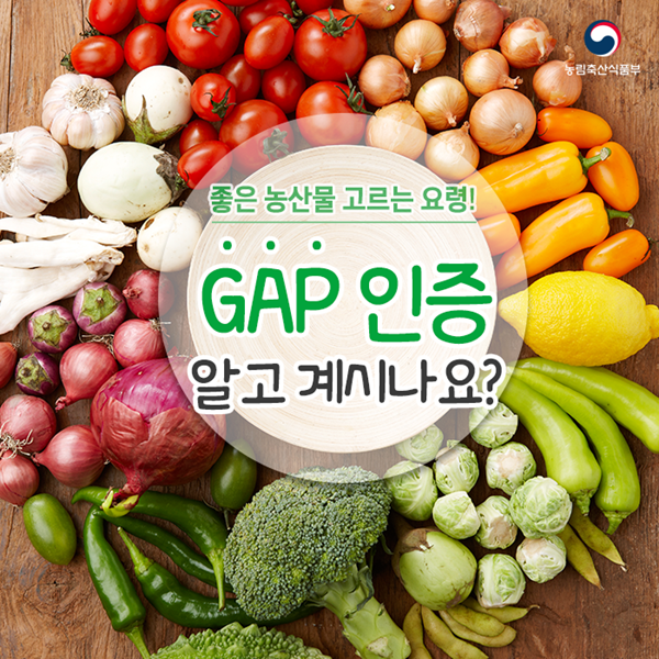 “‘身土不二’ 되살린다..GAP인증으로 제주시 농산물 자부심 높인다”