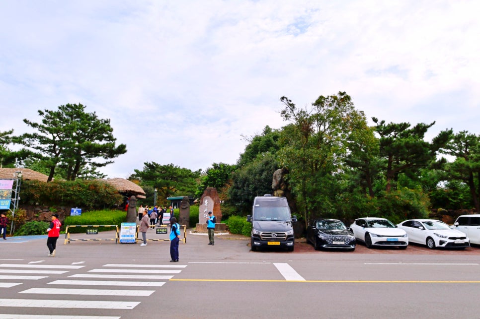 제주도 감귤체험 귤따기 체험 제주 핑크뮬리 핫플 휴애리
