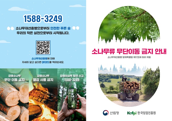 제주도, 가을철 소나무류 이동 특별단속