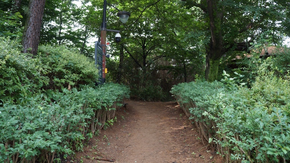 모자가정이 쉴 수 있는 SH 수요자맞춤형 매입임대주택, 동작구 모자가정 추가 입주자 모집!
