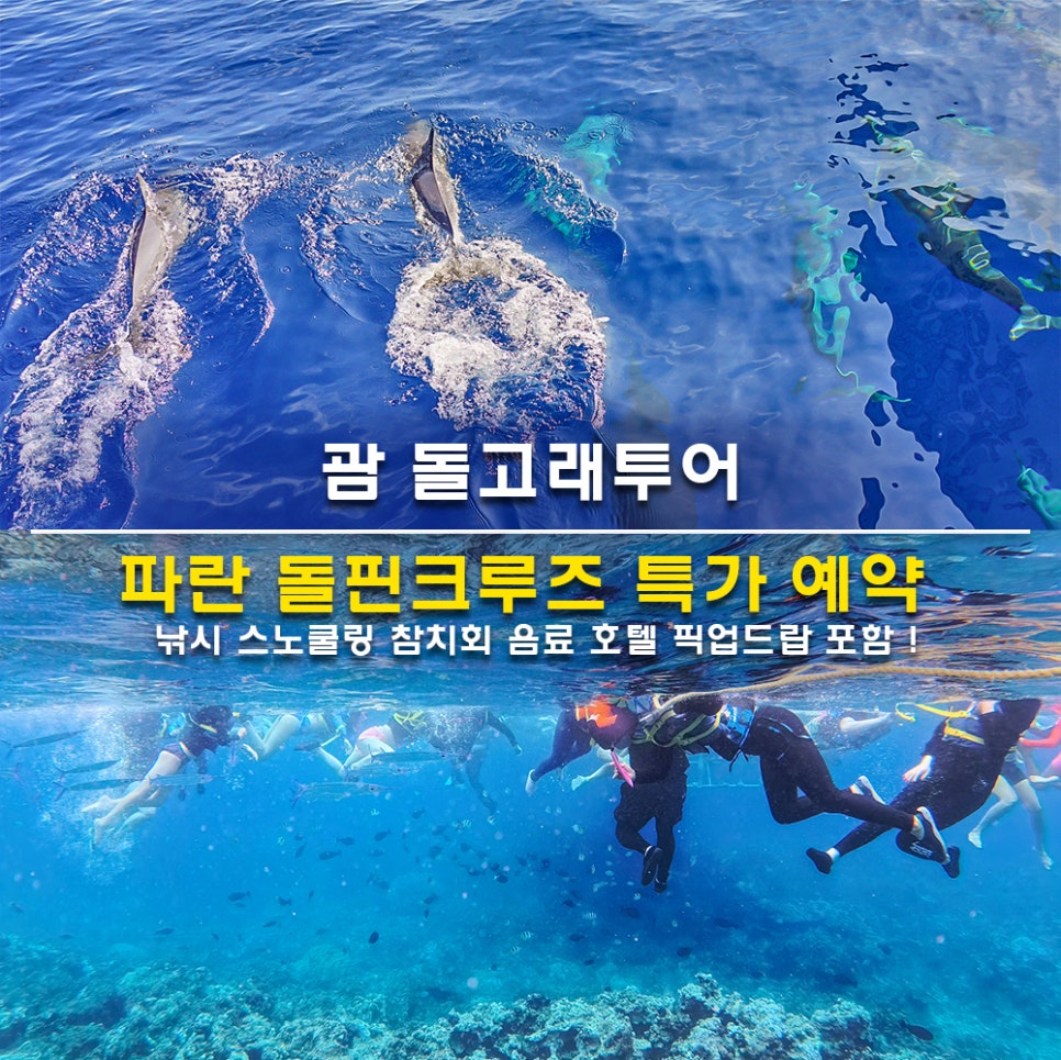 괌 돌고래투어 파란 돌핀크루즈 특가 예약 낚시 스노쿨링 참치회 음료 호텔 픽업드랍 포함