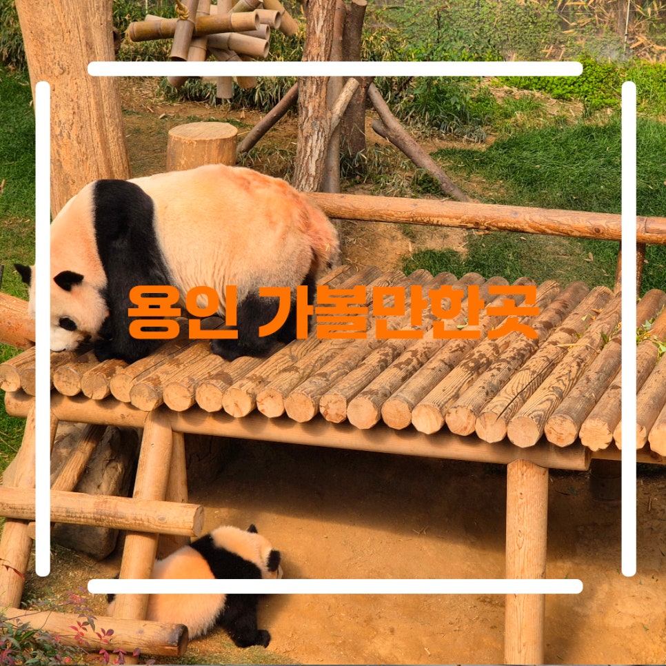 용인 데이트 코스 가볼만한곳 놀거리 에버랜드 한국민속촌 외 4곳