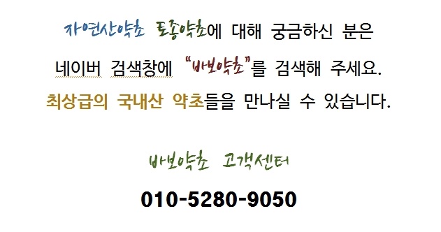 개똥쑥먹는법 개똥쑥먹는방법 Tip~