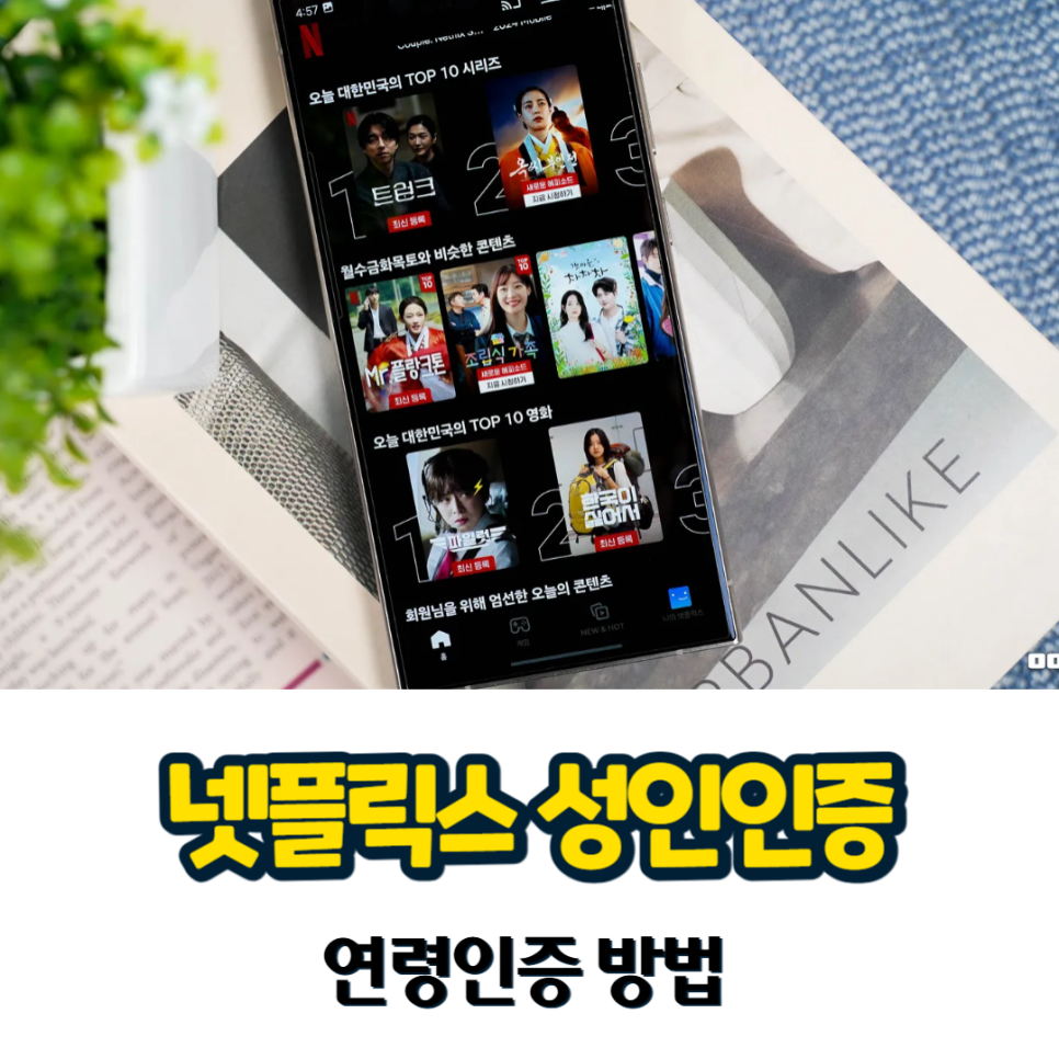 넷플릭스 성인인증 및 연령인증 방법