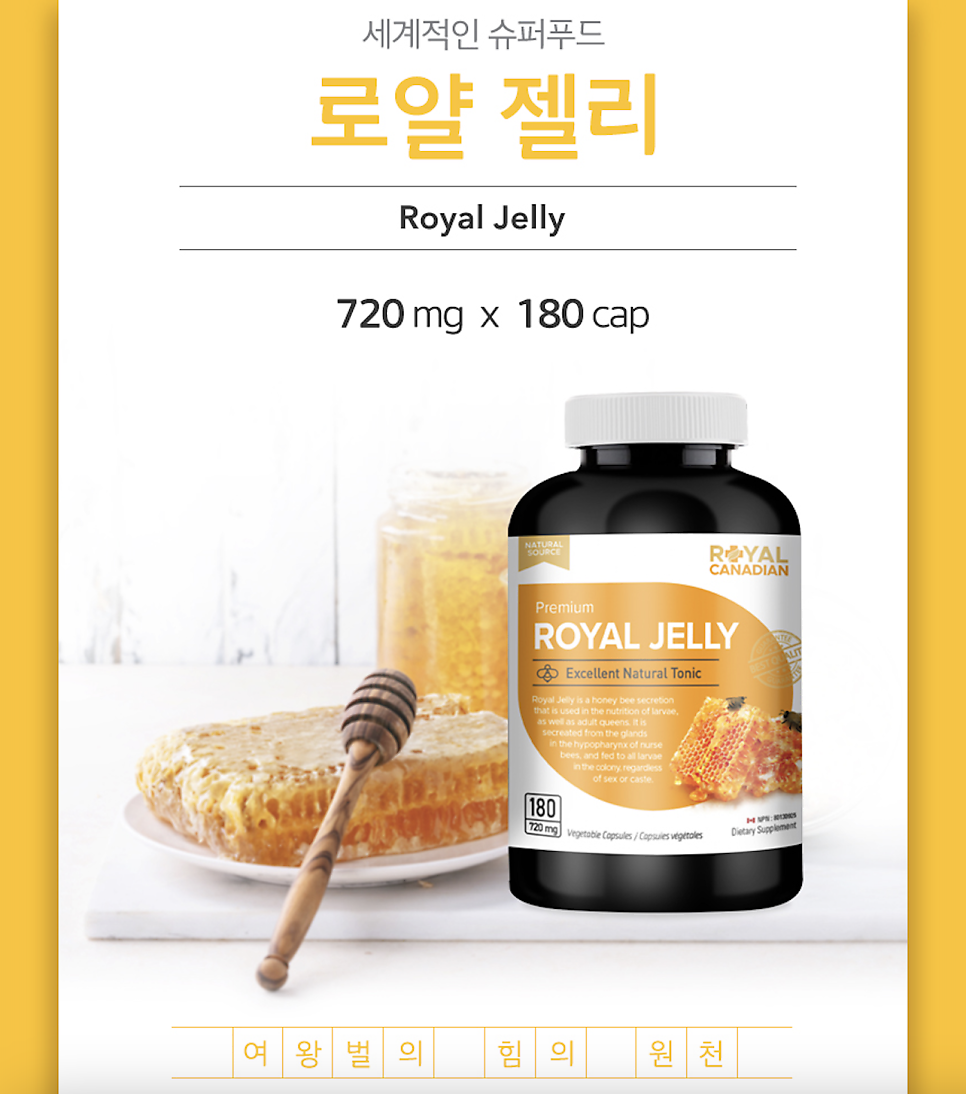 밴쿠버 오늘일상 + 로얄젤리/알폰지/아이스허니 오늘 마감해요!