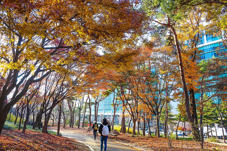 겨울 서울 여행 여의도 한강공원 과 여의도 공원 탄핵 직전 풍경