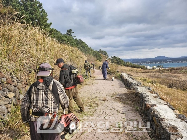 비양도를 푸르게 푸르게...제주시, 산불에 강한 마을 가꾸기 나서..