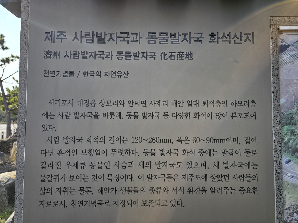 제주도 드라이브 코스 추천 : 제주화석산지에서 만나는 선사시대 흔적 제주사람발자국과 동물발자국 화석