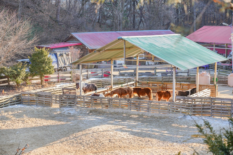 경기도 가볼만한곳 아이와 서울근교 어린이체험 허브아일랜드