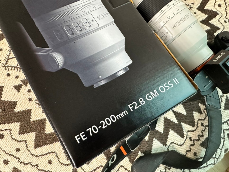 지름신고 Sony 망원랜즈 FE70-200mm