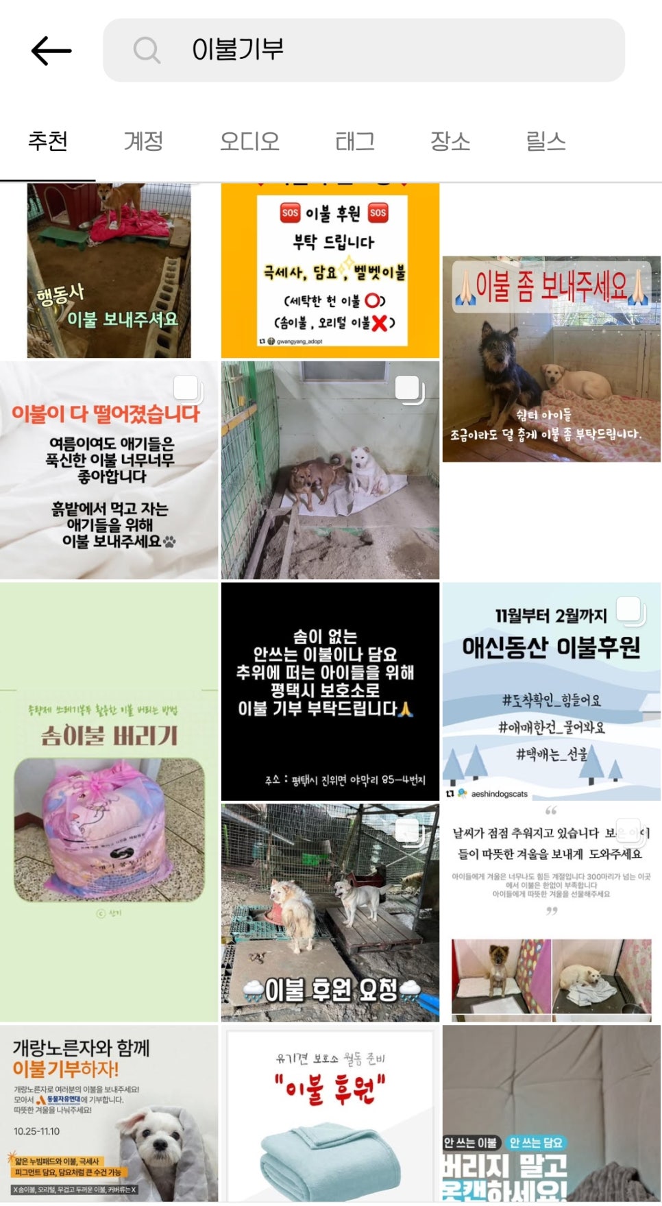 겨울 동물보호단체 이불 수건 기부로 따뜻한 나눔해요