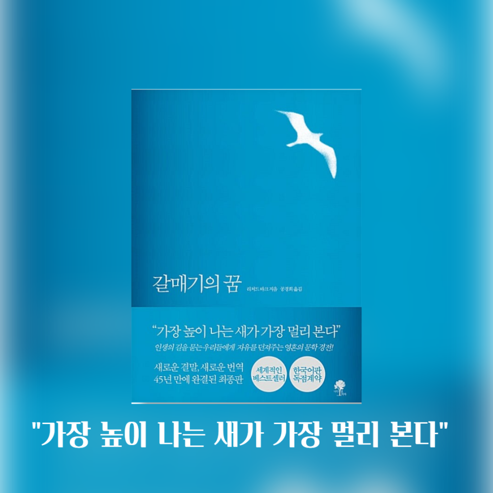 스테디셀러 우화 소설 갈매기의 꿈 - 리차드 바크