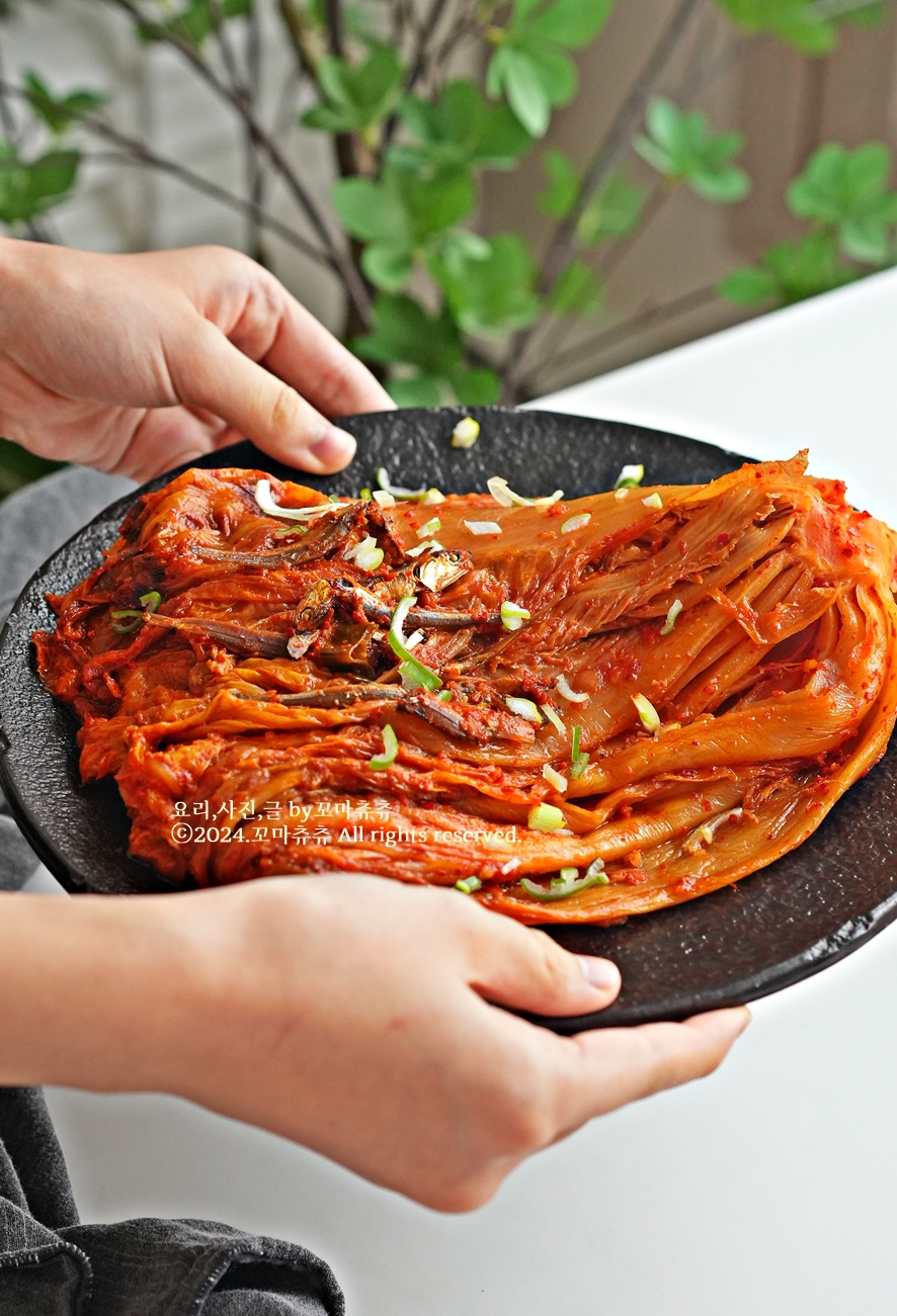 멸치 김치찜 레시피 초간단 묵은지 김치찜 만들기 집밥 메뉴 추천