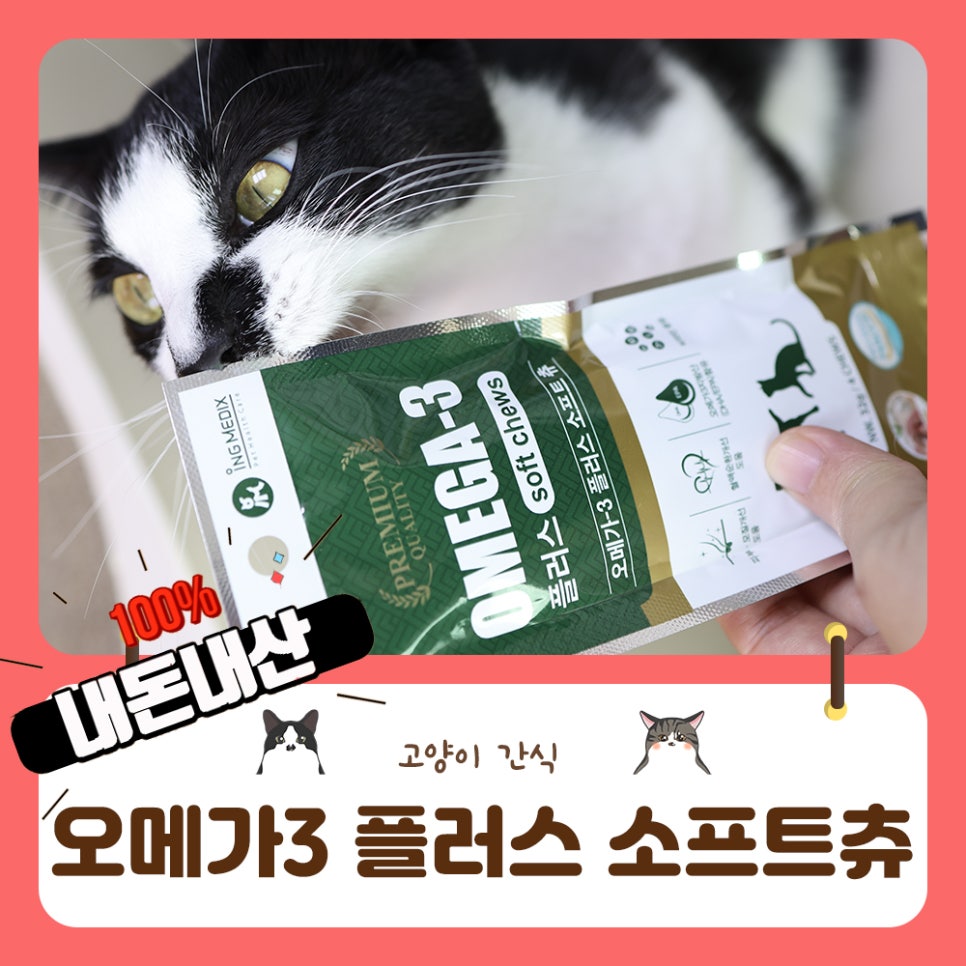 오메가3 안먹는 고양이들 모여라!! 끔추네 성공템 플러스 소프트츄