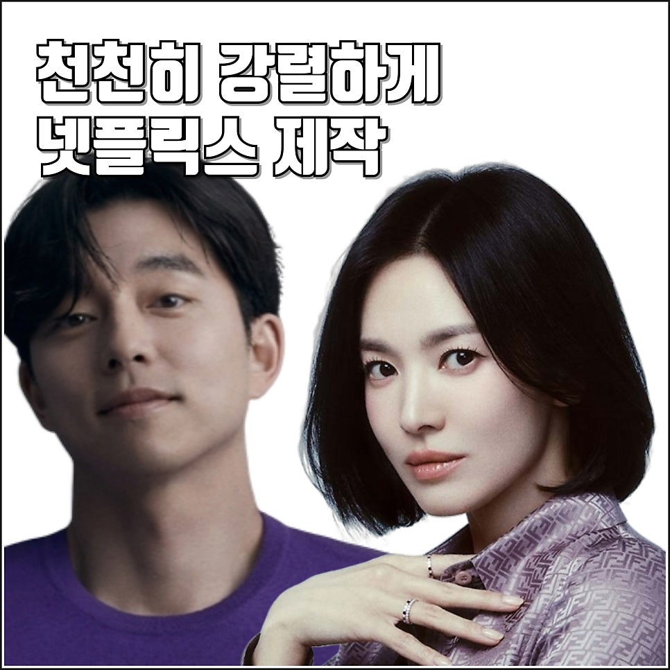 송혜교 공유 넷플릭스 드라마 천천히 강렬하게 제작 캐스팅 정보 제작비 노희경 작가
