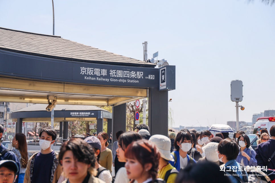 일본 오사카 교토 여행 벚꽃 개화시기 항공권 특가 가격