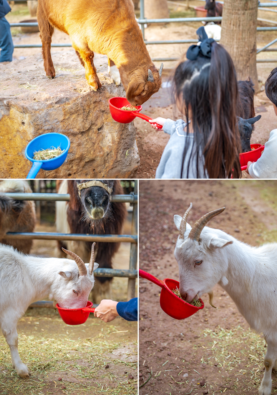 제주도 서귀포 가볼만한곳 제주 여행 코스 추천