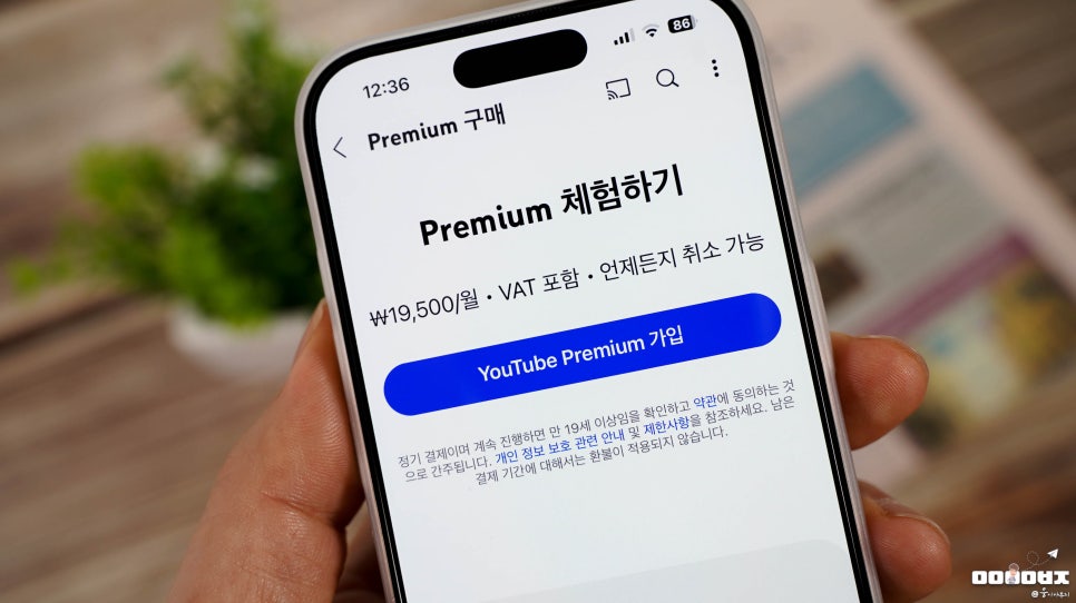 유튜브 프리미엄 우회 대안 4천원