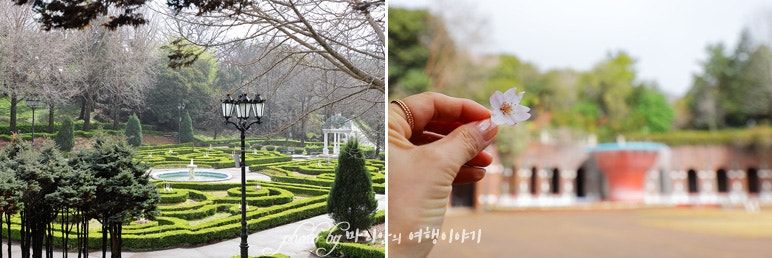 3월 제주도 가볼만한곳 서귀포 제주 여미지식물원 봄여행