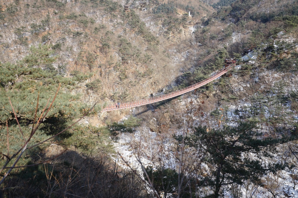 파주 감악산출렁다리 몸은 힘들지만, 경치는 너무 좋았던 파주 명소!