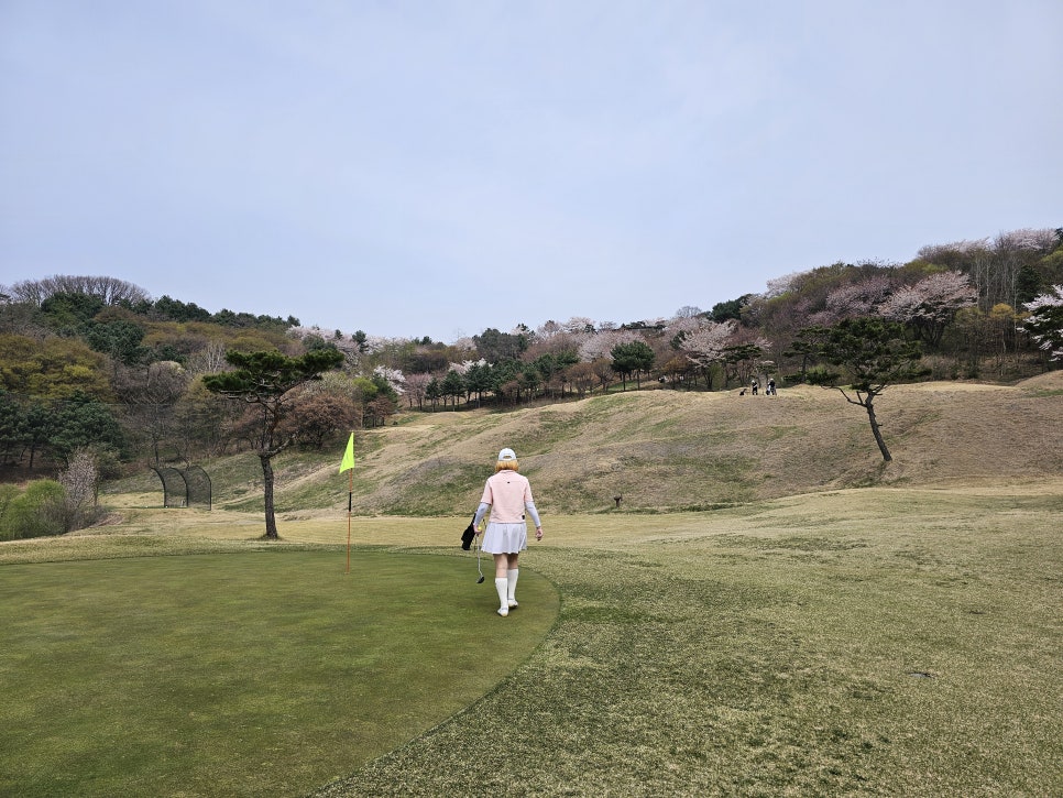 파크골프와 골프에서 사용하는 공통된 용어