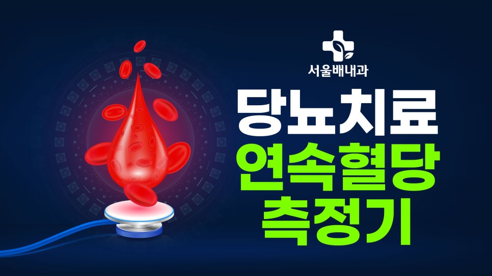 당뇨병 연속혈당측정기란?