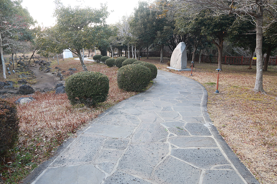 제주 매화 개화시기 명소 서귀포 칠십리시공원 제주도 올레길 7코스
