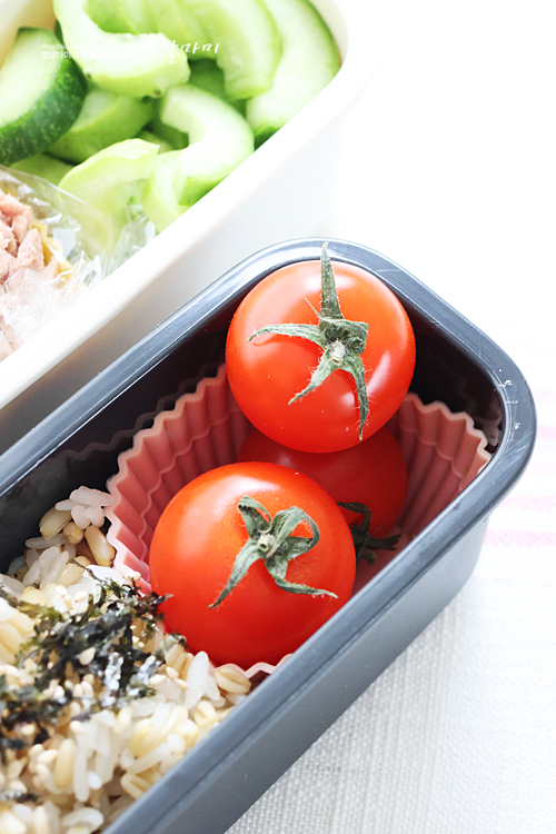 오이참치 비빔밥 만들기 다이어트 도시락 메뉴 추천 레시피