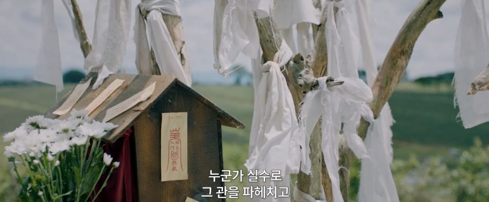 베트남판 파묘 영화 악령 깨어난 시체 개봉일 CGV 단독 정보 예고편 반응